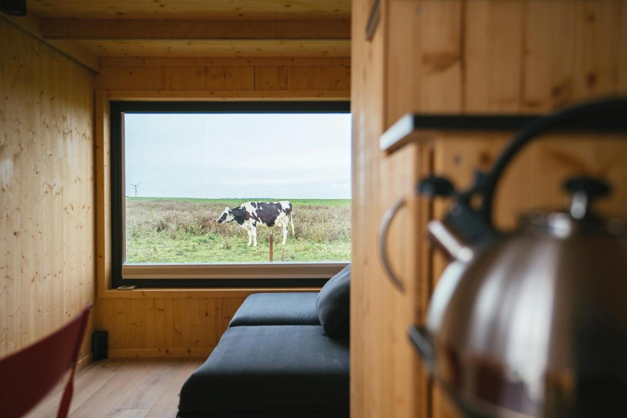 Tiny House Nature 13 Zur Kuhweide - Green Tiny Village Harlesiel Carolinensiel Exterior photo